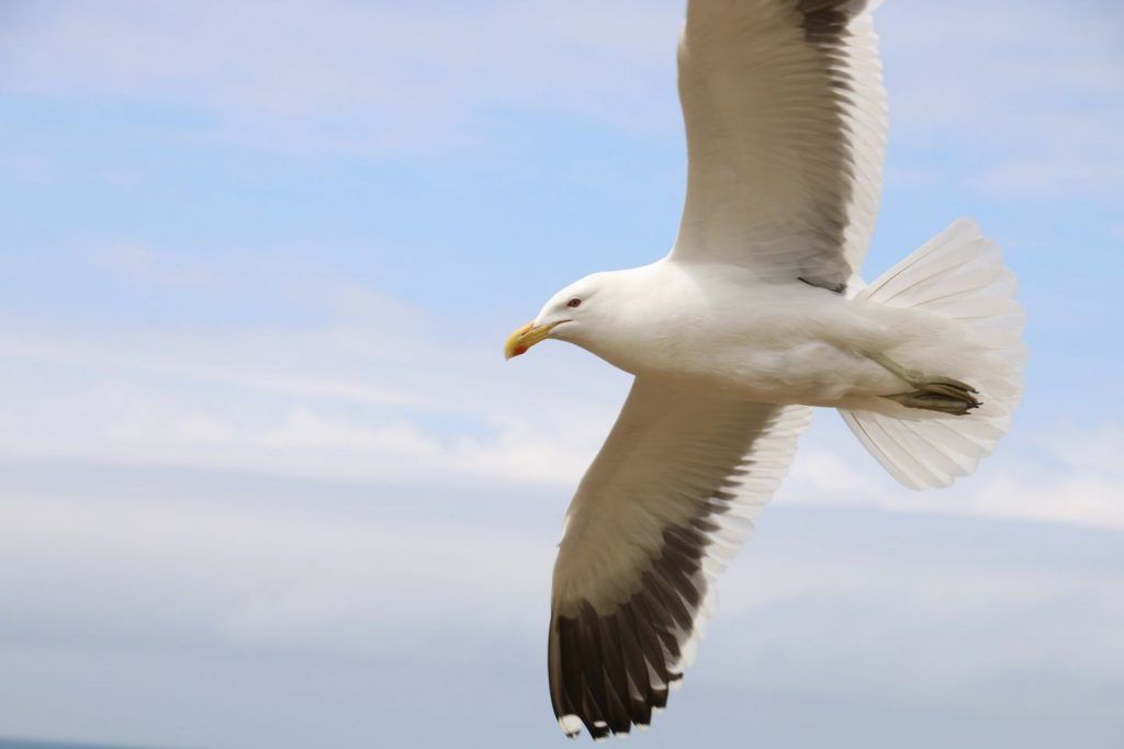 152331024765894400_resized