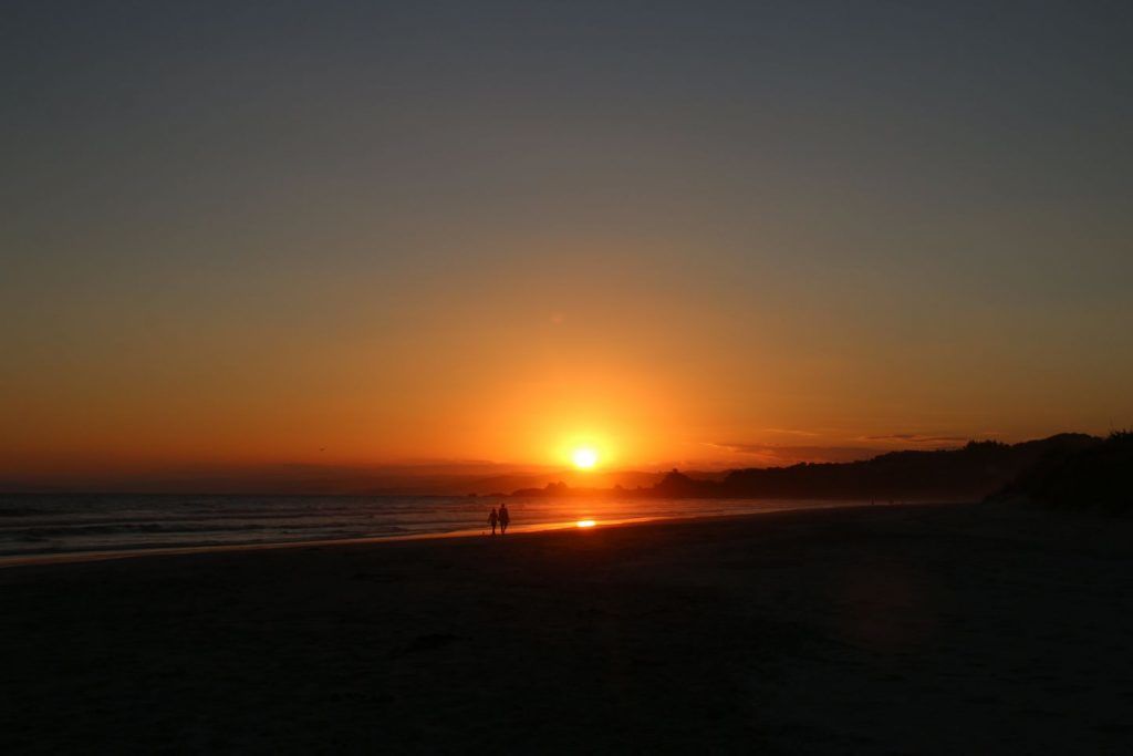 152331027403971600_resized