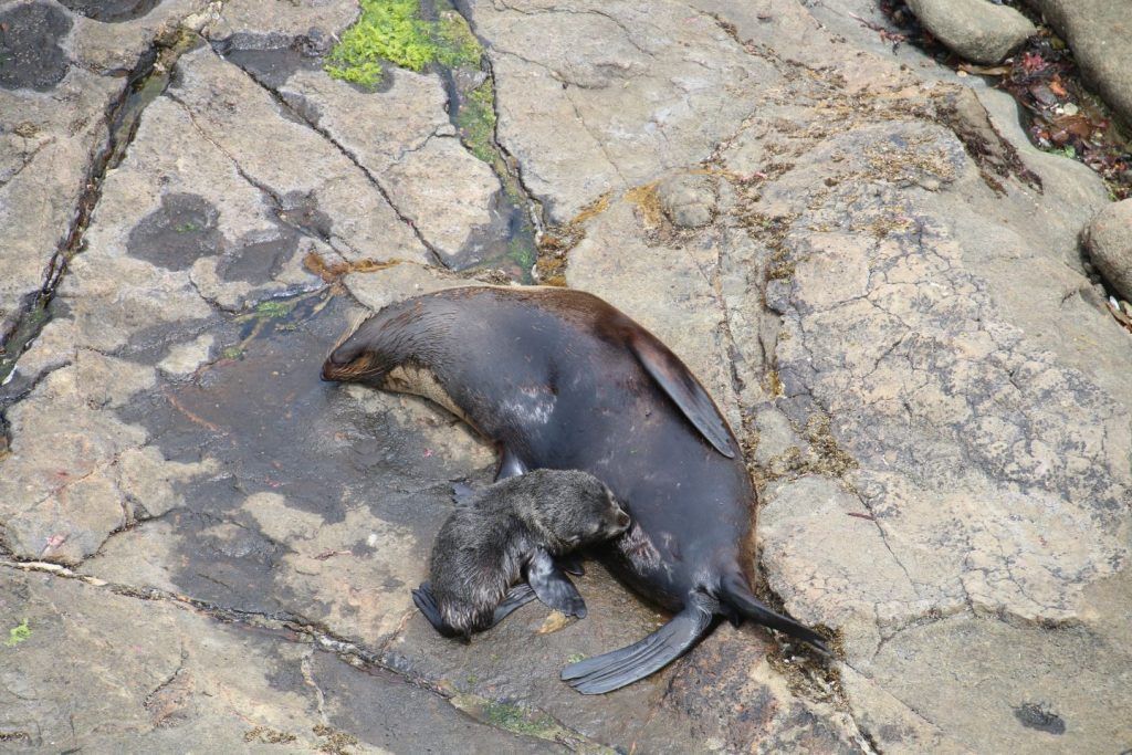 152331027631103800_resized