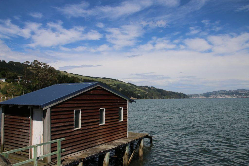 152331027951994300_resized