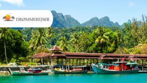 Come along Drømmerejser: Big city, national park and beach holiday in Malaysia