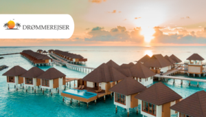 純粋なリラクゼーション Drømmerejser 楽園の島で