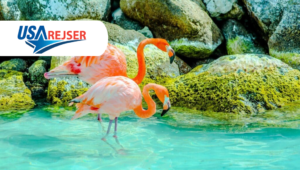 Erleben Sie die Karibik mit USA Rejser