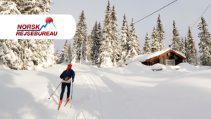 Machen Sie Skiurlaub in Norwegen mit Norsk Rejsebureau