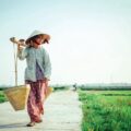 Kulturel rundrejse i vidunderlige Vietnam