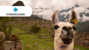 Experience wonderful Peru with Stjernegaard Rejser