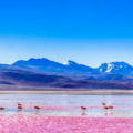 Opdag Bolivias storslåede landskaber