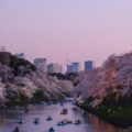 Natur, kultur og dyreliv: Rejsen gennem Japan, Filippinerne og Australien