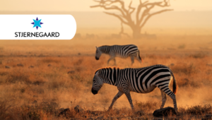 Hãy đến thăm trang trại của Karen Blixen cùng Stjernegaard Rejser