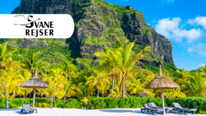 स्वाने रेजर के साथ खूबसूरत मॉरीशस का अनुभव करें