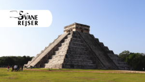 Go on a single trip to Mexico with a Danish tour guide with Svane Rejser