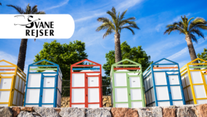 Svane Rejser ile Kuzey İspanya'da solo grup gezisiyle yürüyüş tatili