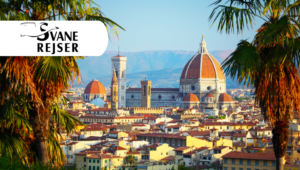 Profitez du meilleur de la Toscane lors d'un seul voyage avec Svane Rejser