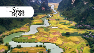 Machen Sie eine Einzelreise nach Vietnam mit Svane Rejser