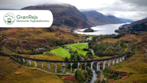 Togreise i det skotske høylandet med GrønRejs