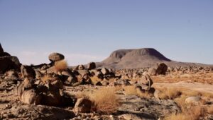 Приключение в Сахара с Taste the World