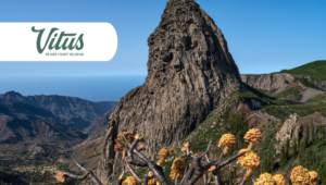 Oplev El Hierro, La Palma og La Gomera med Vitus Rejser