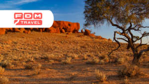 ऑस्ट्रेलिया दक्षिण से उत्तर तक - सड़क यात्रा FDM Travel आउटबैक के माध्यम से