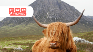 Schotland van hoek tot hoek – roadtrip met FDM Travel in de hooglanden