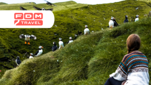 Noord-Atlantische natuur en rust – zelfrijdend avontuur met FDM Travel