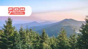 Chuyến đi đường bộ qua miền Nam với FDM Travel