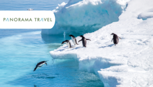 Eksklusive rejser til Antarktis med Panorama Travel