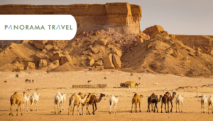 Enestående rejse til Saudi-Arabien med Panorama Travel