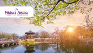 Rundrejse i Sydkorea med Viktors Farmor