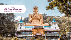 From elephants to tea plantations: Experience Sri Lanka with Viktor's Grandma