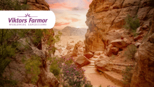 En voyage en Jordanie avec la grand-mère de Viktor