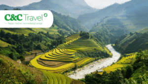 Natur und Kultur auf einer Rundreise in Vietnam mit C&C Travel