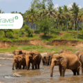 Voyagez avec C&C Travel lors d'un aller-retour au Sri Lanka avec votre propre chauffeur privé