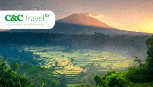 Ta C&C Travel på en rundtur til Bali med en privat sjåfør