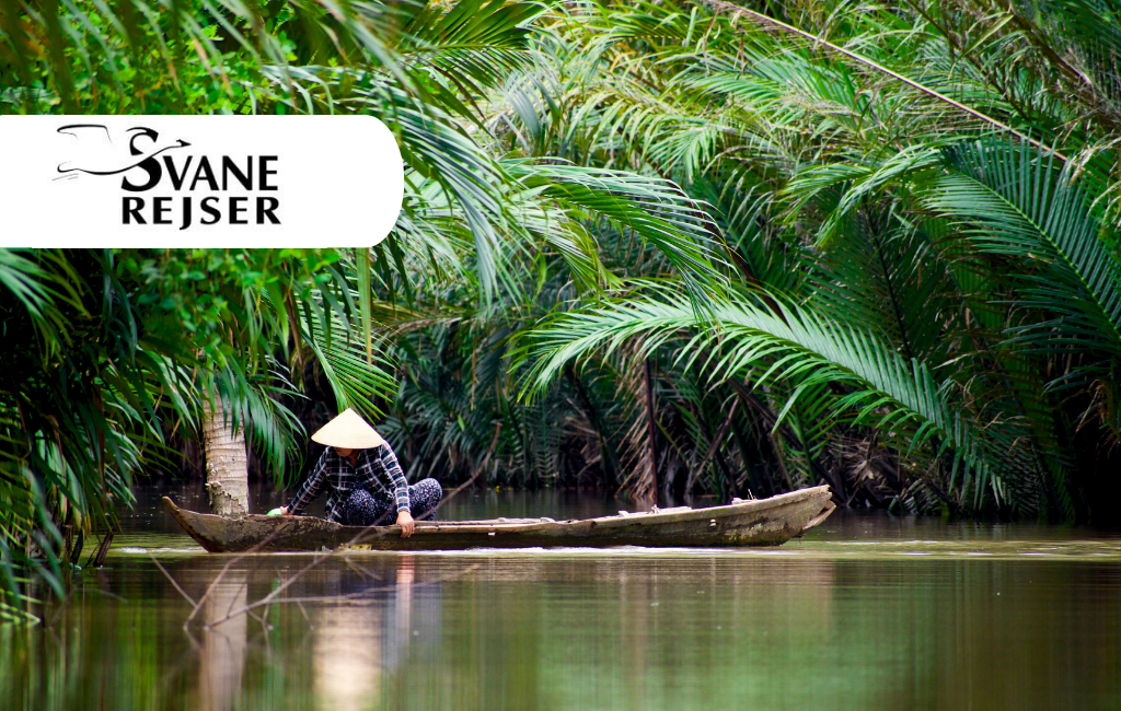 Swan Travel Vietnam (Viagem de Natal e Ano Novo)