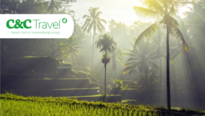 Oplev Bali og Gili Trawangan med C&C Travel
