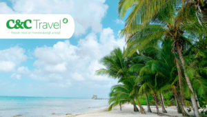 Kør selv-rejse til Mexicos kolonibyer og paradisstrande med C&C Travel