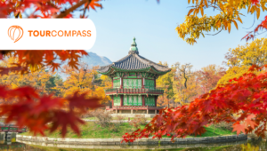 Det bedste af Sydkorea med TourCompass